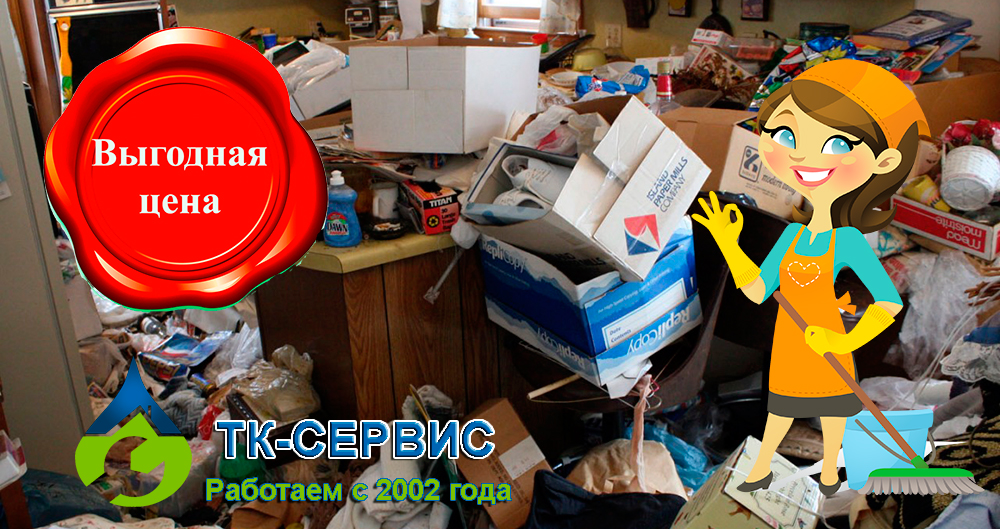 Вывоз мусора с уборкой в Лыткарино Вывоз мусора с уборкой в Лыткарино